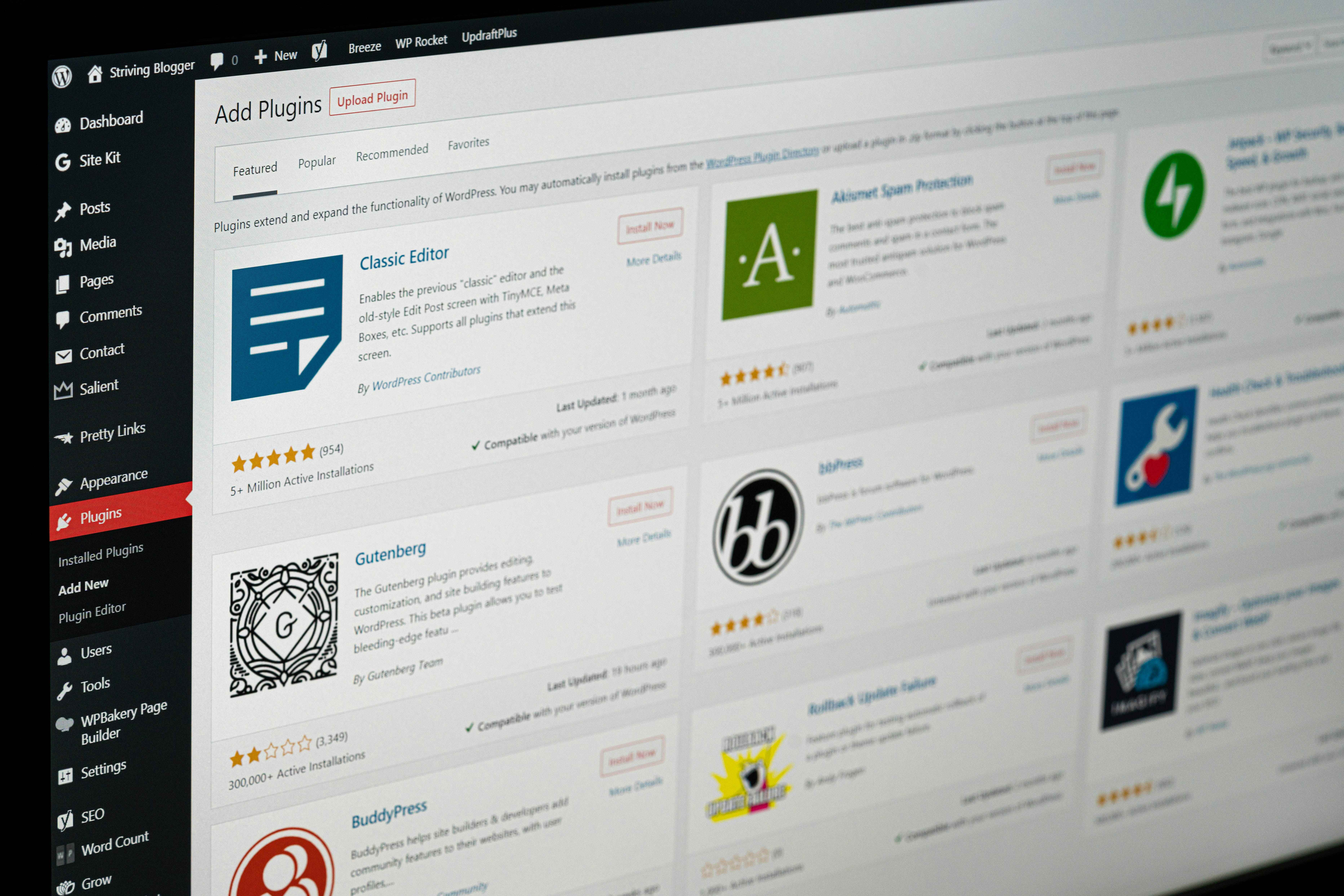 Free vs Premium WordPress Themes